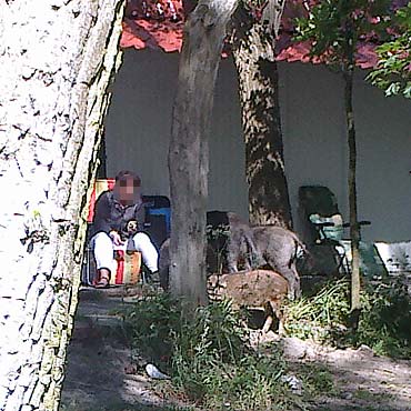 Dziki maj si dobrze