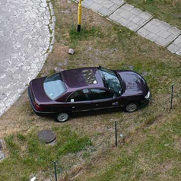 Opel napdzany traw?