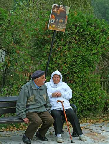 Miasto walczy z dzikami