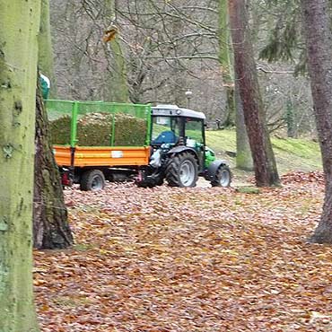 Zbieraj zalegajce na parkowych ciekach licie. Sprztaj te trawniki. Po co?