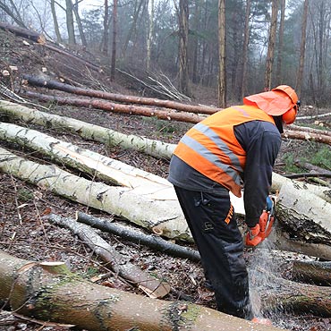 Wycinają drzewa pod przyszłą budowę