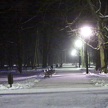 Radni: Park jest za bardzo o¶wietlony
