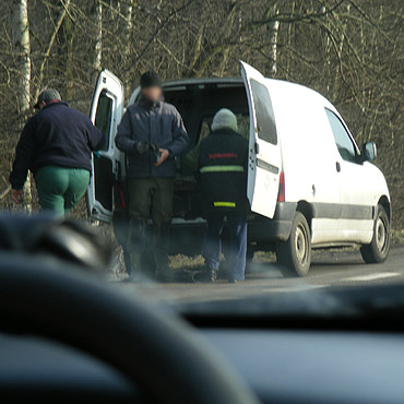 Wybudowali psu drewniany podest. To jednak wciąż nie koniec