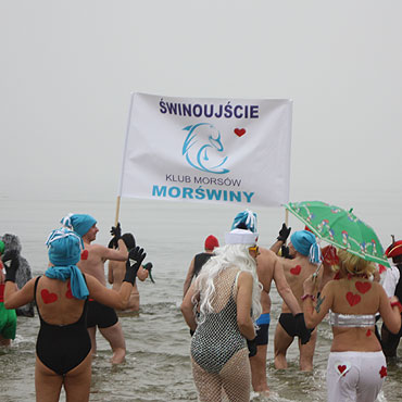 Kąpielisko w Ahlbeck pełne morsów