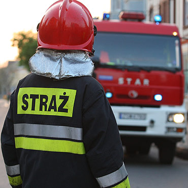Strażacy uratowali życie małemu psiakowi. Biedak wpadł do wody