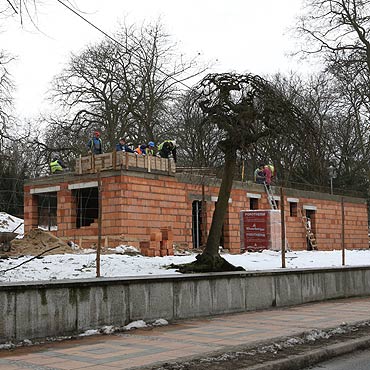 Zrobisz tam siku przez cay rok. Za darmo!