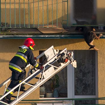 Przeraony psiak zawis na balkonie!