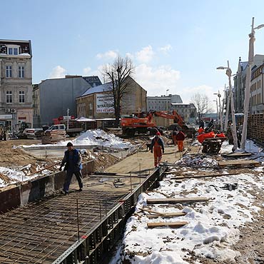 Na Placu Wolnoci posadz brzozy