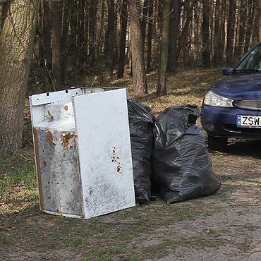 Zamiast odda, wyrzucaj do lasu