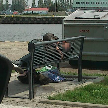 Osika awk.  Jak na niej pniej usi?