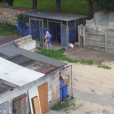 Czytelniczka: Restauracja dokarmia… szczury. Sanepid zaprzecza