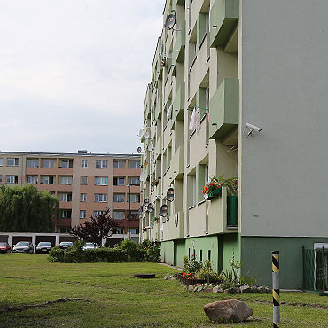 Wyrzuci psa jak przedmiot. Przez okno