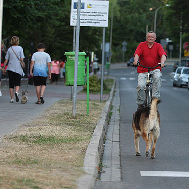 Lepiej nie zostawia psa przypadkowej osobie
