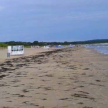 Najpierw mieci po plaowiczach, czyli porzdki nad Batykiem