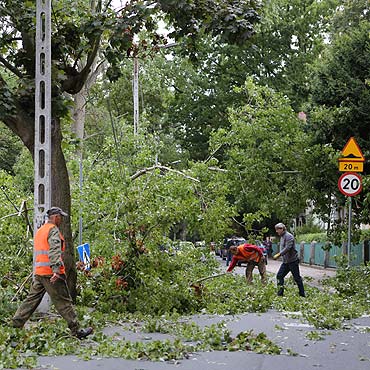 Drzewo runo na ulic, zrywajc lini elektryczn pod napiciem. Ludzie uciekali z miejsca