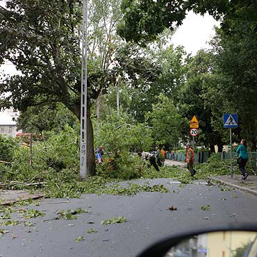 Drzewo runo na ulic, zrywajc lini elektryczn pod napiciem. Ludzie uciekali z miejsca