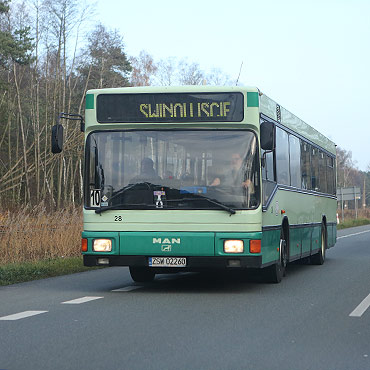 Radni za sta lini autobusow do Midzyzdrojw