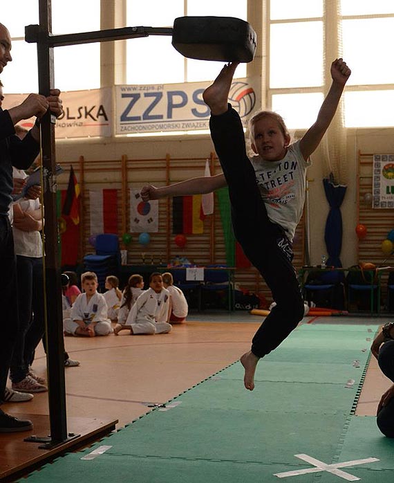 Wojewdzka Olimpiada Dzieci i Modziey w Teakwondo Olimpijskim