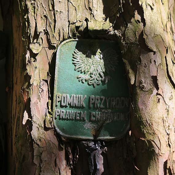 Rzecznik zaprasza Czytelnika do magistratu