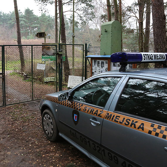 Nowa umowa na prowadzenie schroniska ma być bardziej restrykcyjna