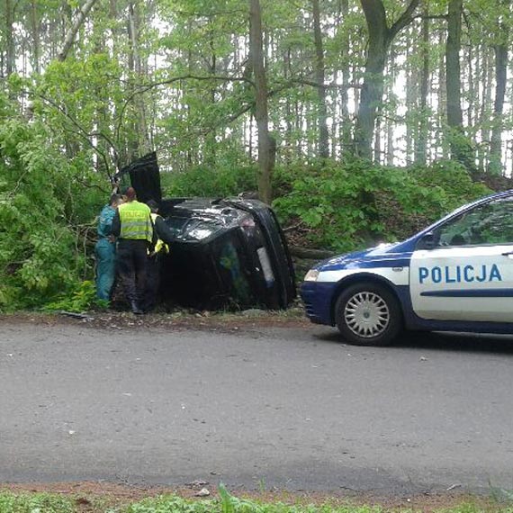 Kierowca bmw uderzy w drzewo