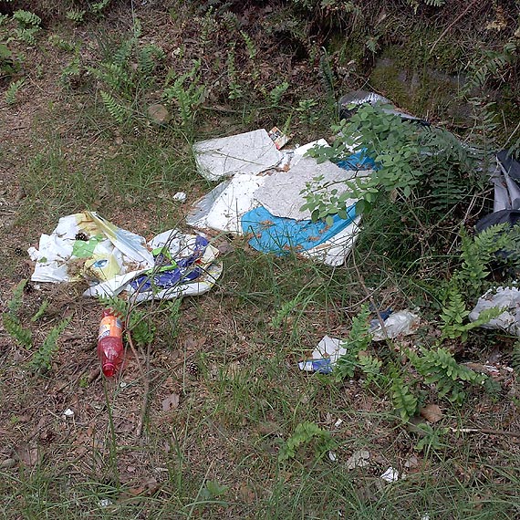 Czytelnik: mietnik na wydmach wci ronie!