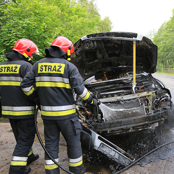 Volvo stano w pomieniach na krajowej trjce