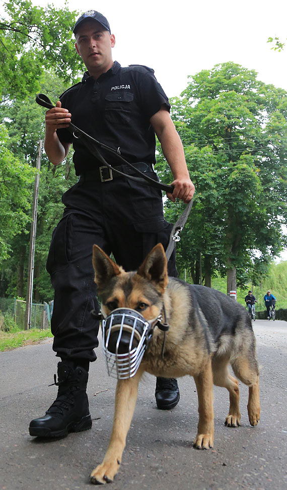 Nowy nabytek świnoujskiej policji. Suczka Shila już od sierpnia będzie tropić przestępców