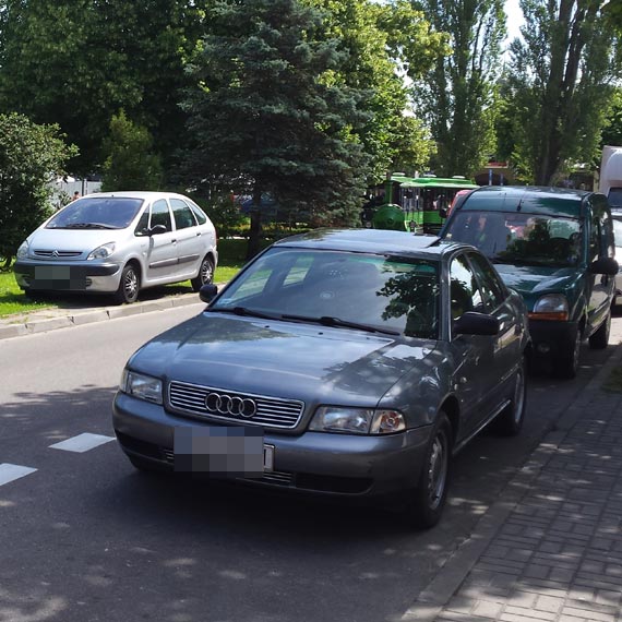 Mistrz parkowania zaparkowa na trawniku 