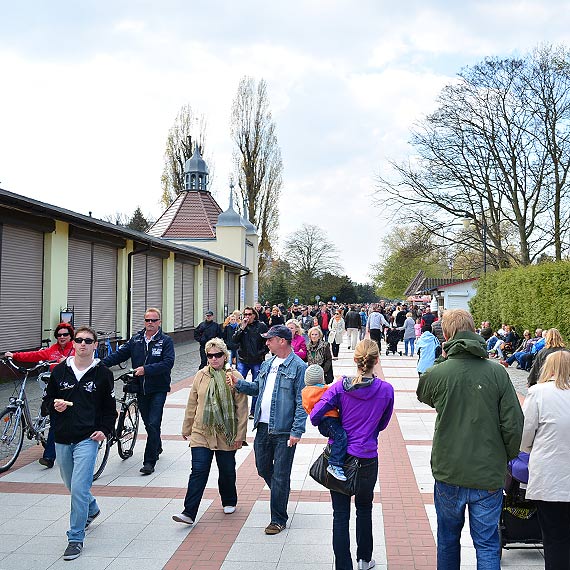 Publiczne alkomaty na winoujskiej promenadzie? Miasto nie mwi nie