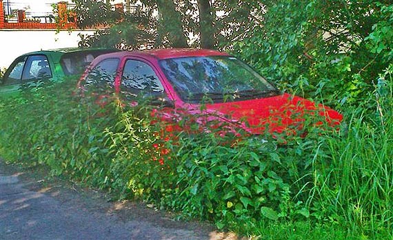 Patrz, gdzie parkujesz. I lepiej umyj auto