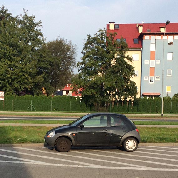 Cwaniaki cigle parkuj na martwym polu przy Lidlu!