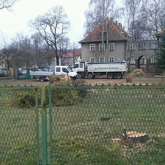 Zapacili za wycink 21  drzew. Teraz bdzie hotel i podziemny gara