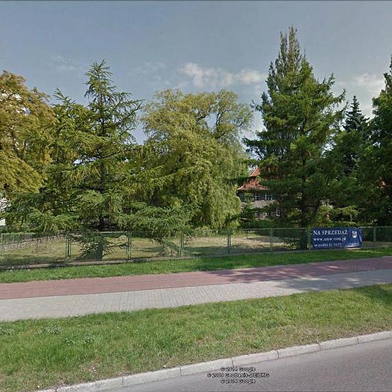 Zapacili za wycink 21  drzew. Teraz bdzie hotel i podziemny gara