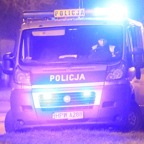 Zatrzymany dziki wzorowej reakcji przechodnia