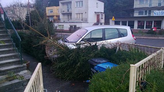 Wigilijny prezent… pod choink?