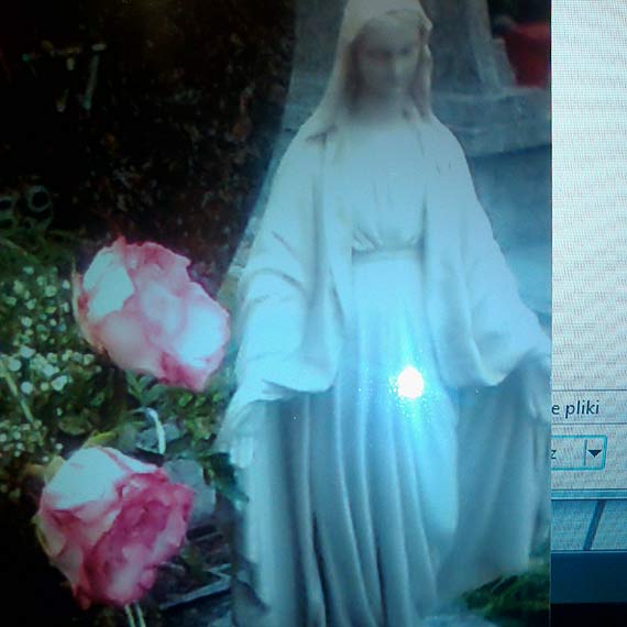 Zodzieje okradli grb. Znikna figurka