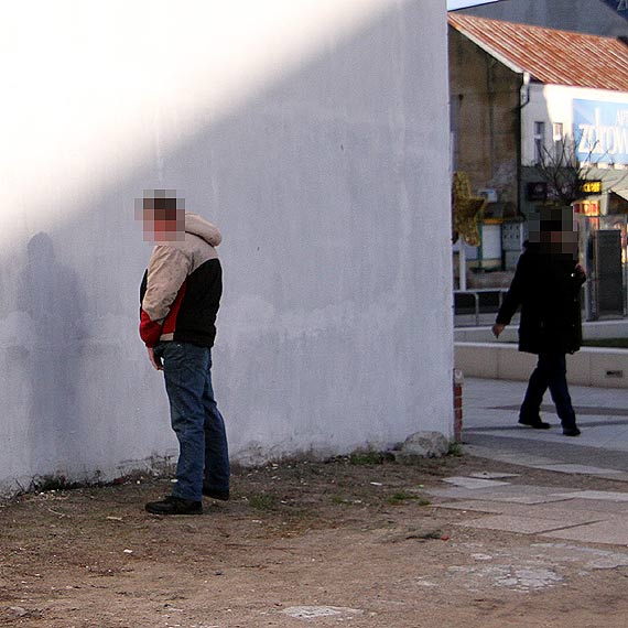 Sika w centrum miasta! Gdzie s bezpatne toalety?