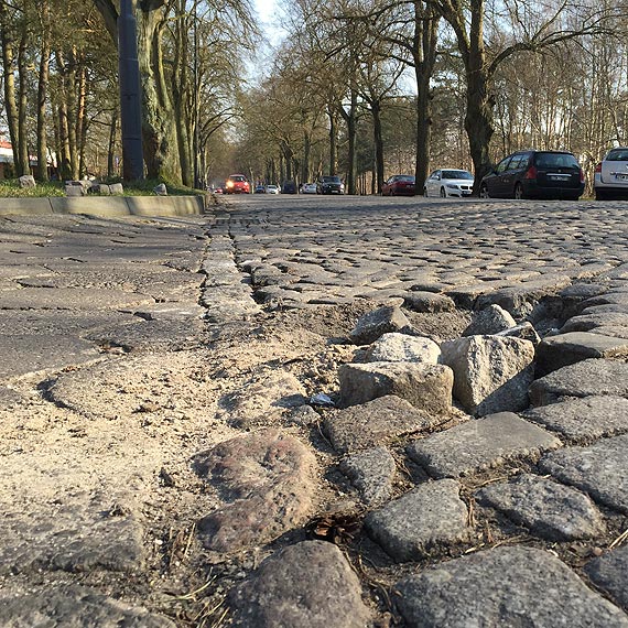 Z cyklu „Takie rzeczy tylko w winoujciu”: Latajca kostka