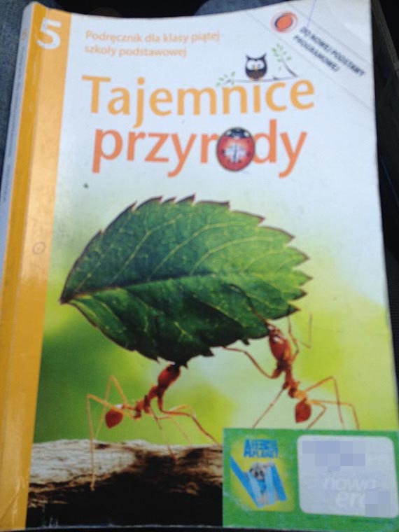 W szkole ucz, e Szczecin ley nad morzem