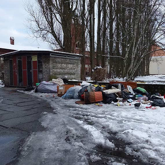Czytelnik: Wysypisko mieci na podwrku przy ulicy Poznaskiej