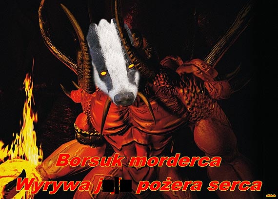 Wkopujc rur obudzili upione zo. Czy optany borsuk szuka krwi?
