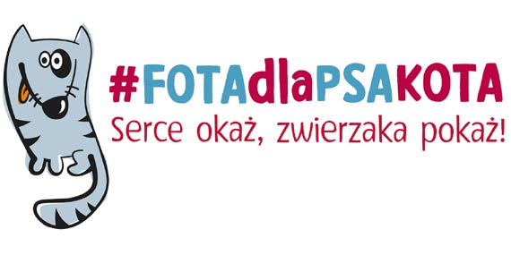 #FotadlaPsaKota pomoga zwierzakom przetrwa zim!