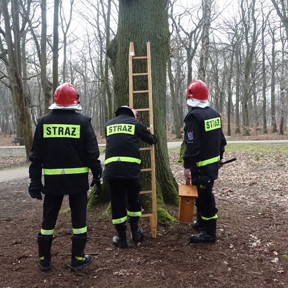 Straacy powiesili 100 budek dla ptakw