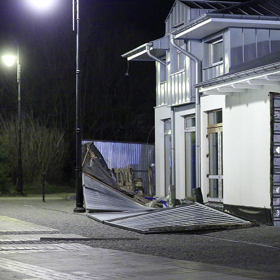 Gazie leciay na przechodniw