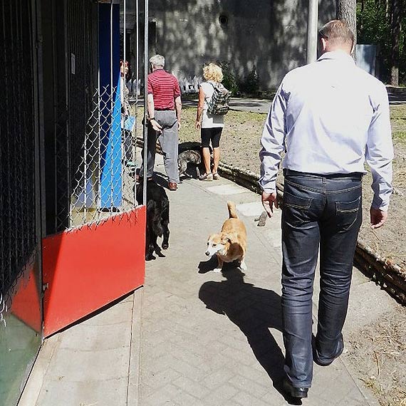 Sprawa schroniska dla zwierząt: sąd przyznał rację Miastu