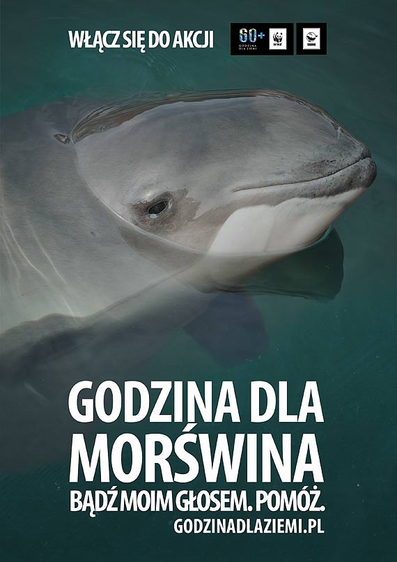 Godzina dla Ziemi WWF: w caej Polsce zgasy wiata dla morwina