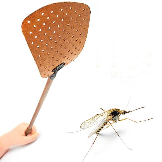 Inni tego nie robi. U nas komar ma przechlapane