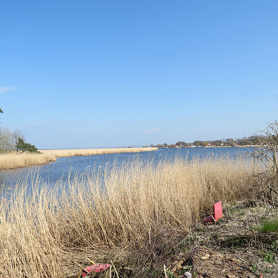 Czytelnik na wycieczce po wyspie Karsibr: Szkoda rowerw