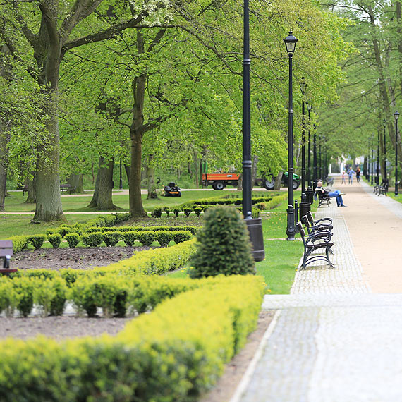 Zaniedbany park? Karelus: Nasadzenia dopiero si rozpoczy